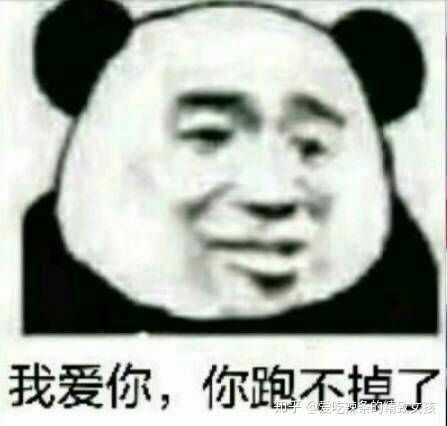 ()    首先,献上表情包届的大佬:熊猫头 ( 'ω' )