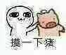 和女孩子聊天对方总是发猪头的表情是什么意思?