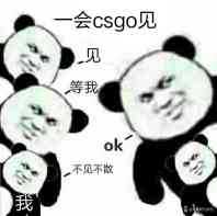 你存的有哪些让你笑尿的csgo表情包?