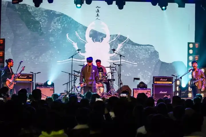 如何评价九连真人乐队