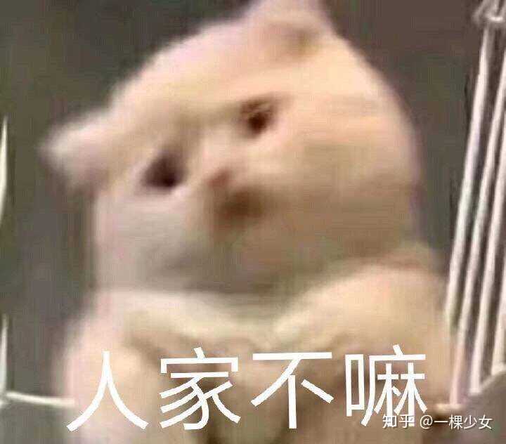 你们撩对象都用什么表情包啊～?