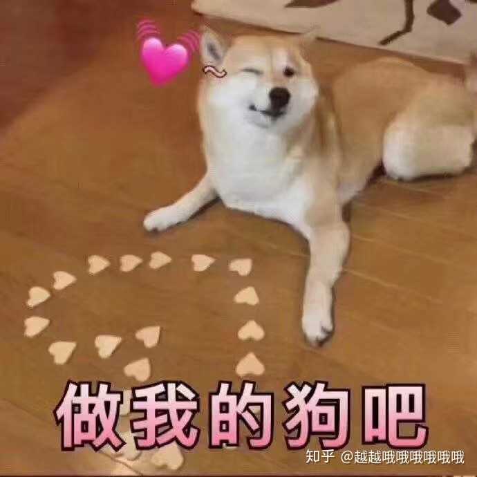 你有哪些让你一秒变开心的表情包?