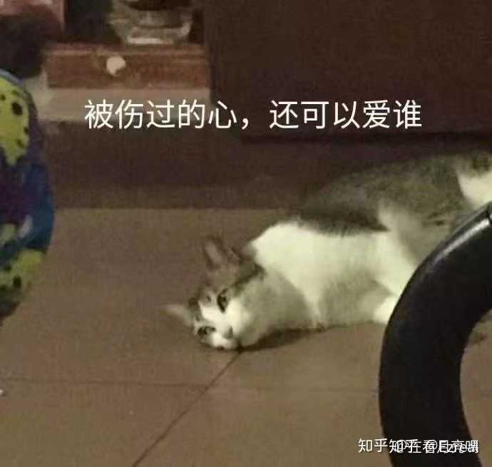 有没有什么生无可恋的表情包?