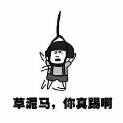 还是拿面条上吊?