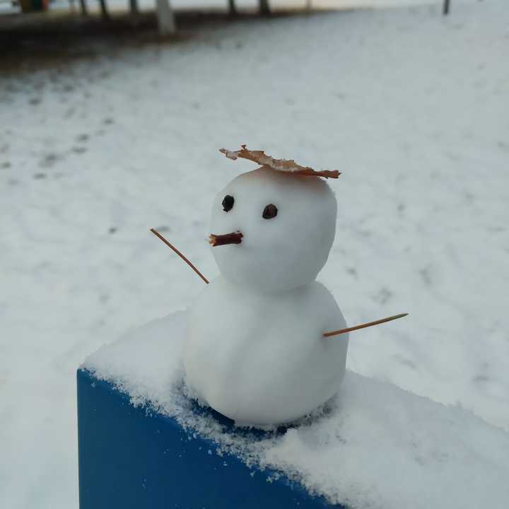 君埋泉下泥销骨,我寄人间雪满头