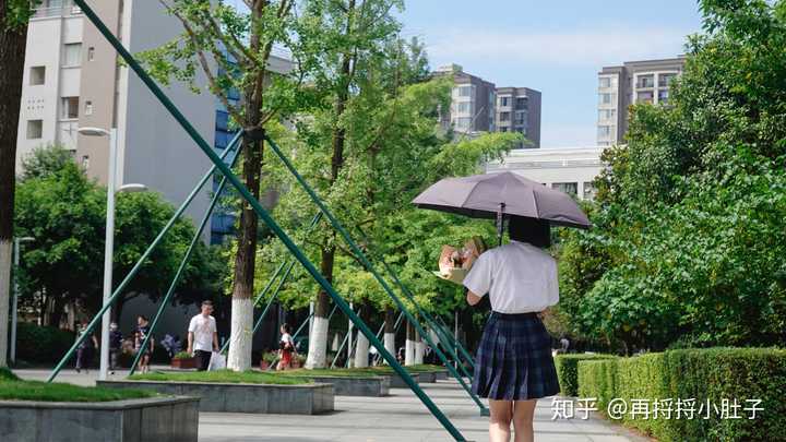 四川农业大学的校园环境如何?