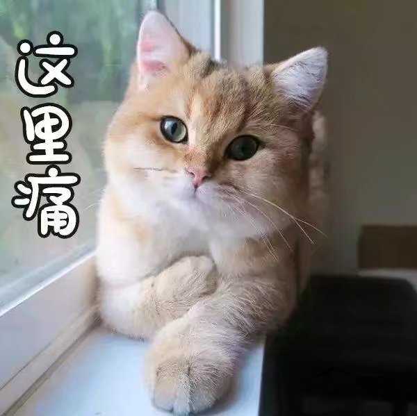 有没有一瞬间,突然感觉十分沮丧,即便没有发生什么?