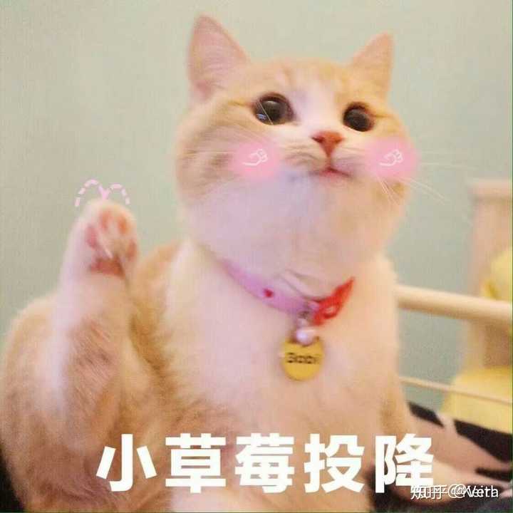 男生夸你可爱是什么意思?