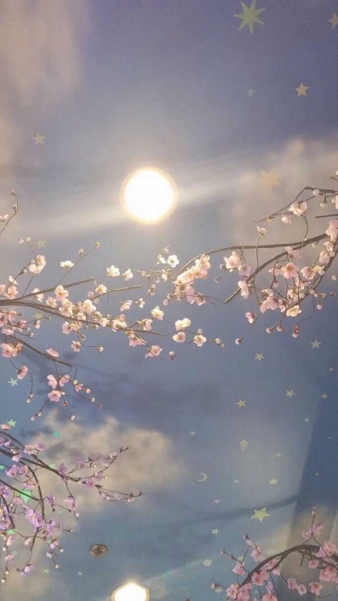 是自己和小狗小猫? 是和小巷小伙伴? 还是一部部吸引人亩动画?