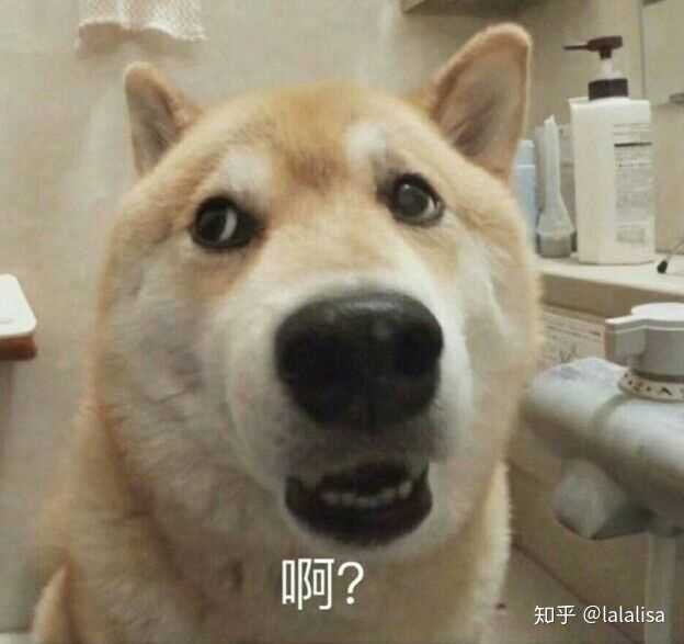 有哪些沙雕又可爱的情侣头像?