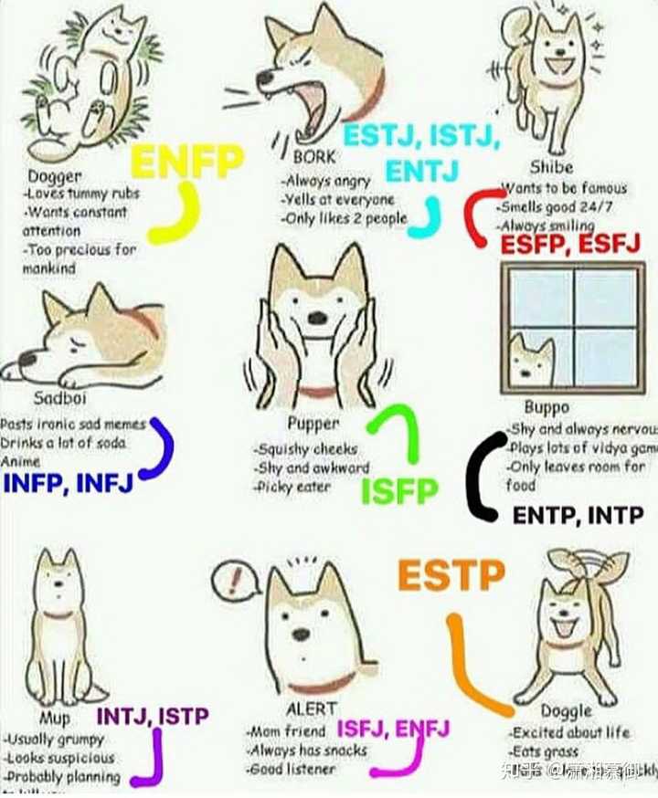 有没有mbti相关的有趣梗图?