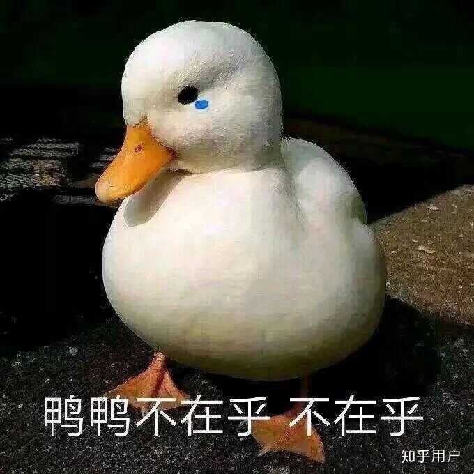 但是我知道自己很胖,哭了