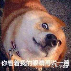 男生们可爱的表情包都是从哪来的?