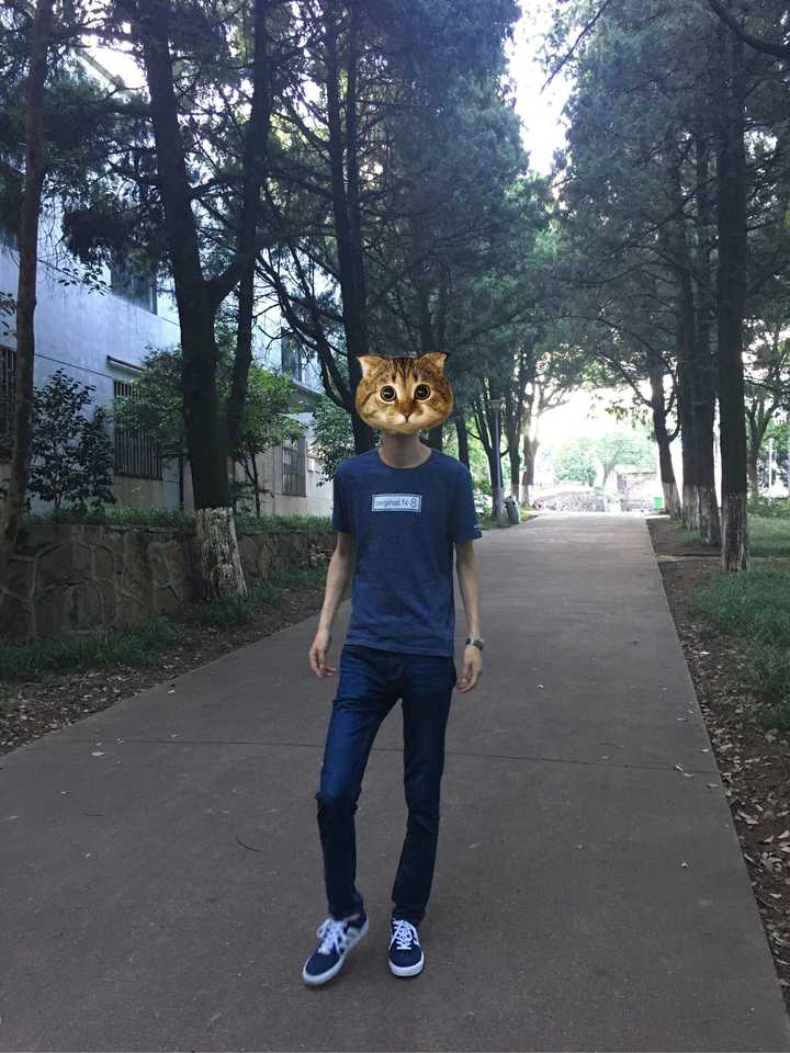 遇到/认识身高190cm 的人是种怎样的体验?