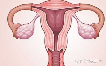 子宫内膜厚度在女性月经的不同阶段会有必然的变化,首要是因为月经
