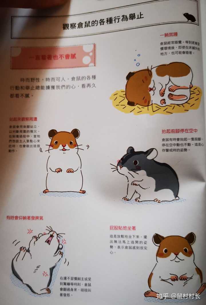 城东新城天幕步行街新进展,富丽园商业地块已经被收回