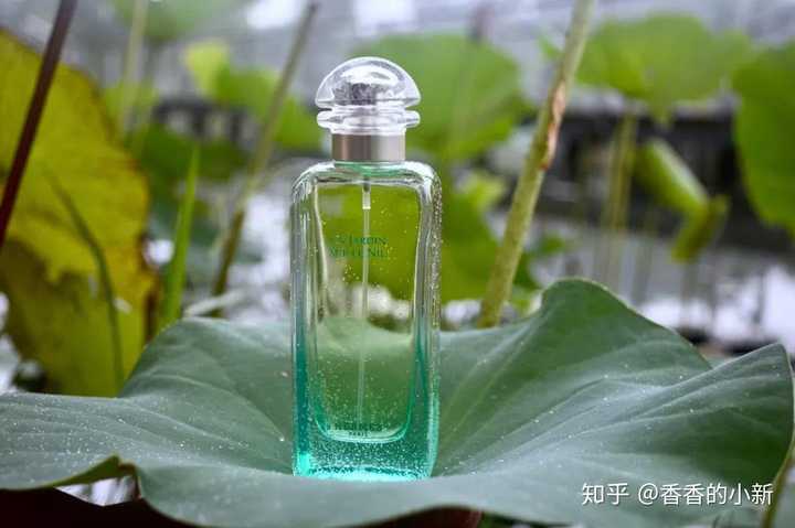 爱马仕 尼罗河花园