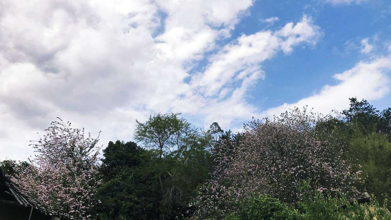 看看外面的风景