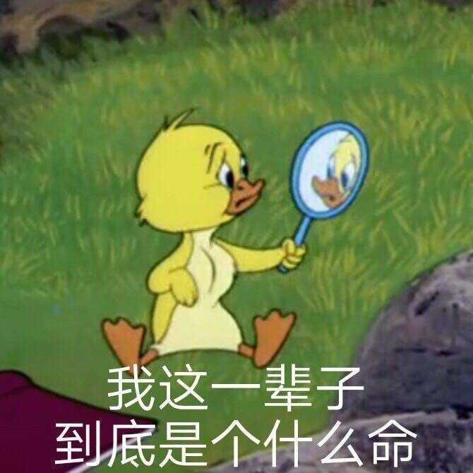 有哪些适合发说说的沙雕句子?