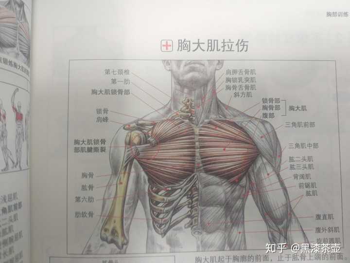 练胸,只为增肌不是冲重量,卧推需要锁住肩胛骨吗?