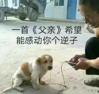 有没有能镇住全场的沙雕表情包,斗图输了,求助!