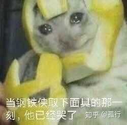 你都存了哪些沙雕表情包?
