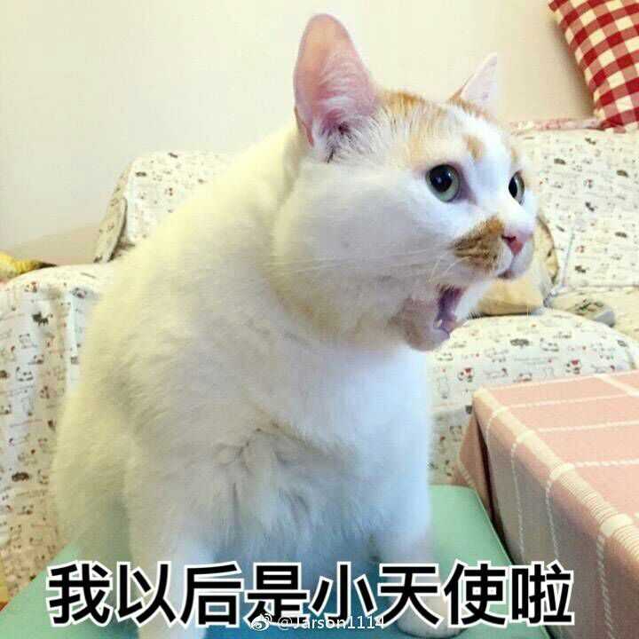 打call尬聊买橘子 2017哪些流行语占领了你的表情包?