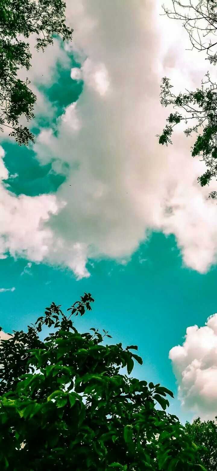 有哪些适合做微信头像的风景或静物图片?