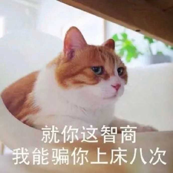 有什么撩女生的情话和表情包