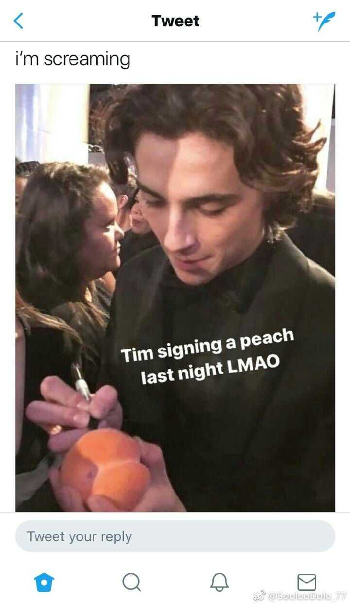 如何评价演员timothée chalamet(甜茶)?