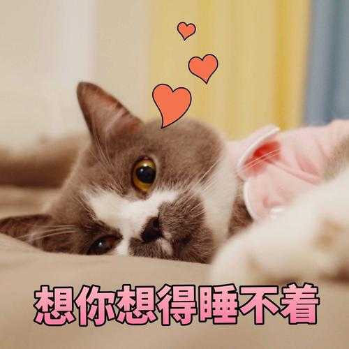 是心动啊,糟糕点赞躲不掉~ (* ~3)(ε~ *)
