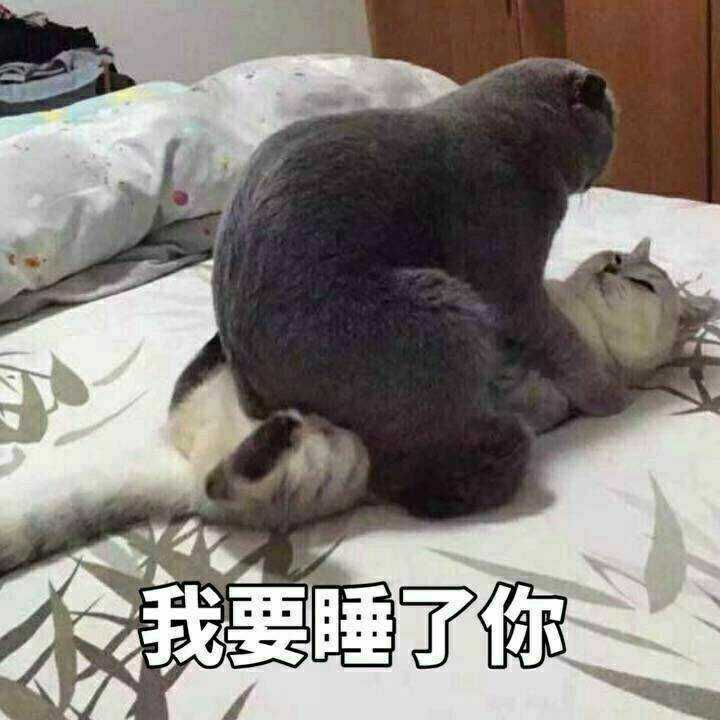 如何撩男朋友?