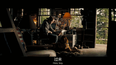 今天介绍一部马克沃尔伯格主演的真人版吃鸡.