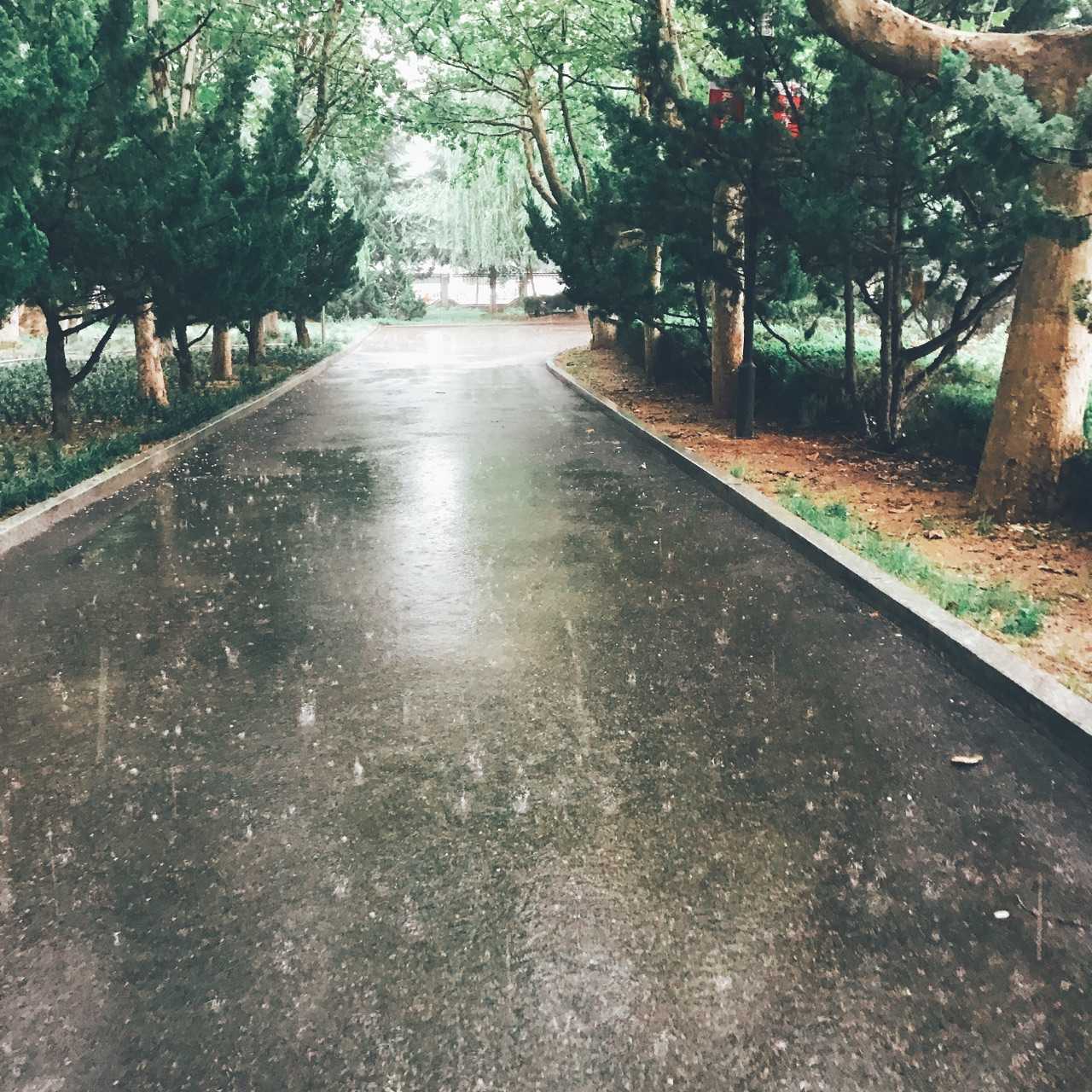 这条路走了一个月  越来越喜欢了  每次下雨都超美  恰好这个月  一直