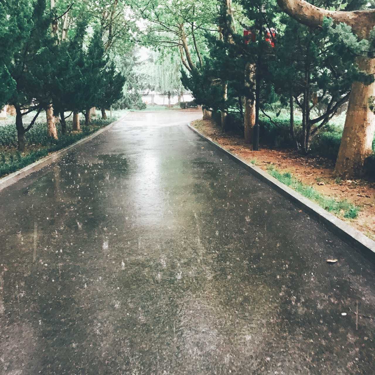 越来越喜欢了  每次下雨都超美  恰好这个月  一直在下雨