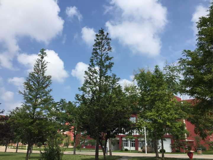 曲阜师范大学日照校区怎么样