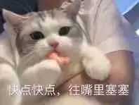 有哪些你舍不得删的沙雕表情包?