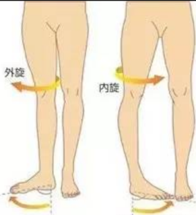 从相对正常的位置往大腿中间移动,进而表现为大腿外侧肌肉突出 再者