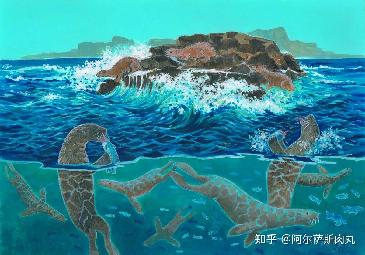 鳍足源起海熊兽enaliarctos