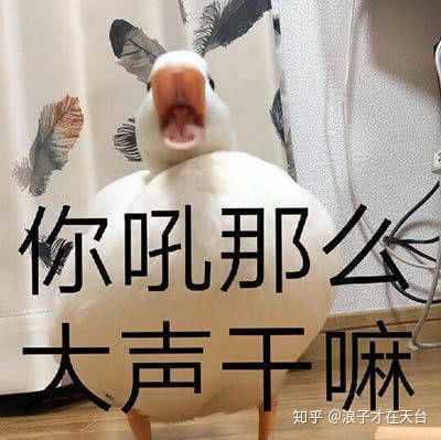 有哪张表情图片是你内心极度生气时用来发泄的吗?