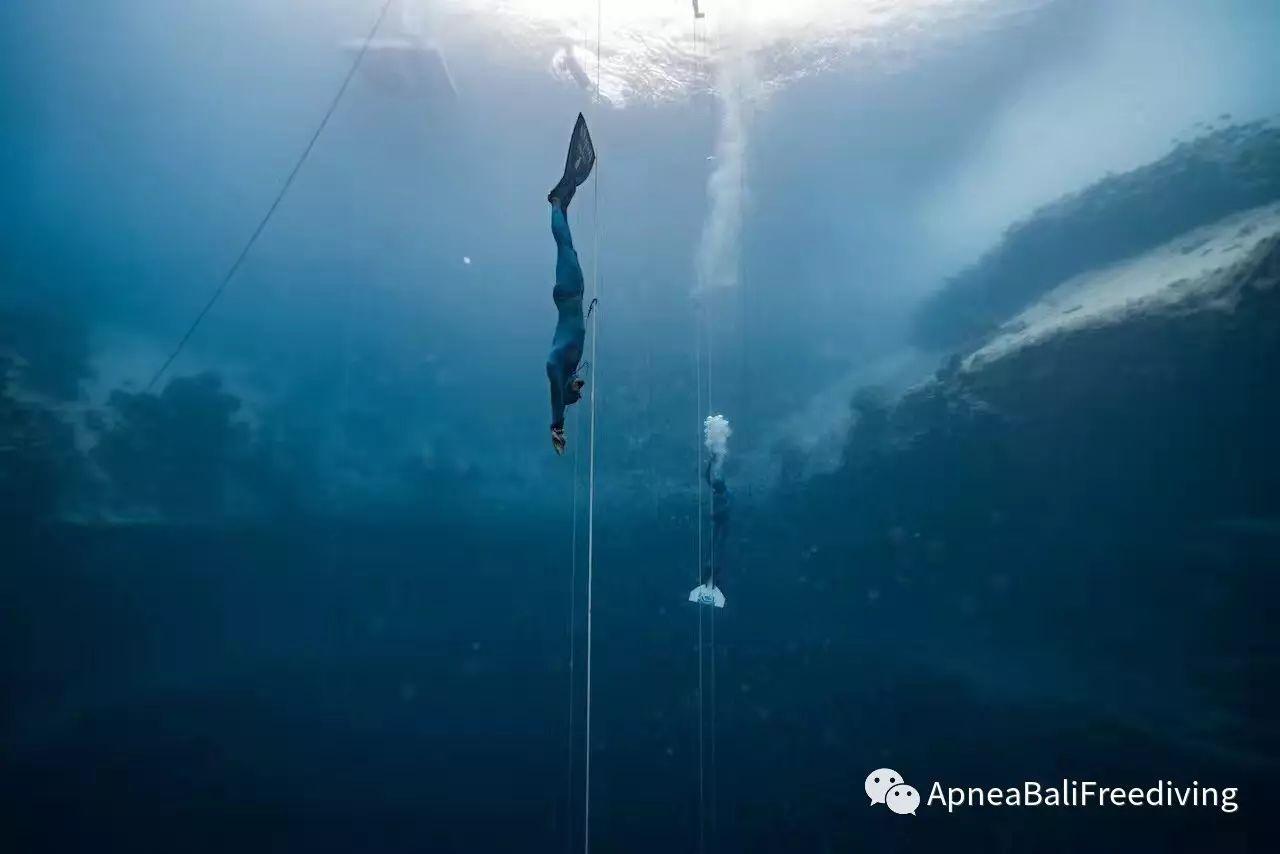 巴厘岛有好的教自由潜水的潜店吗