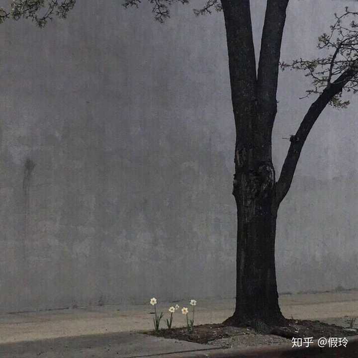 有哪些适合男生用的超级酷的微信头像?