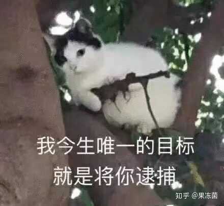 难搞哦!