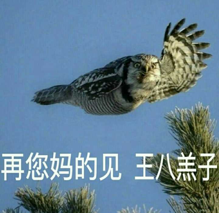 道法,三年没考过也没怎么讲过的人身自由权,中考就考了