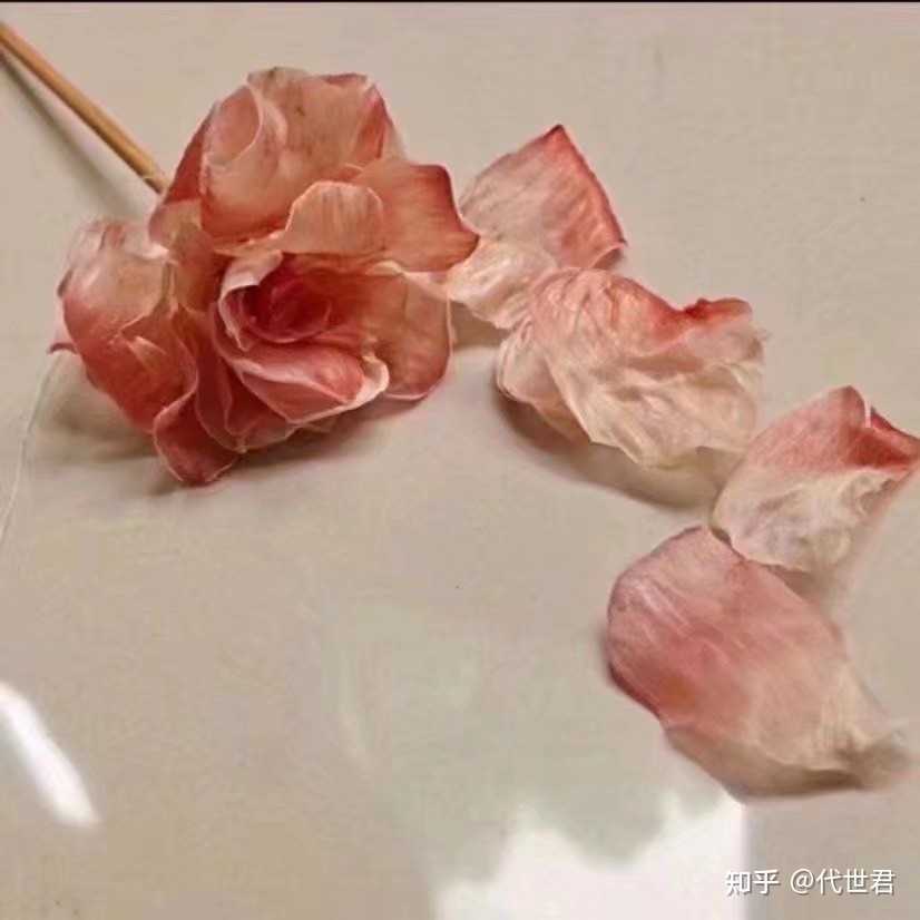 柚子皮也没想到自己还能成为玫瑰花