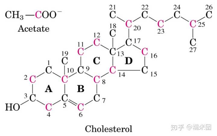 胆固醇化学结构