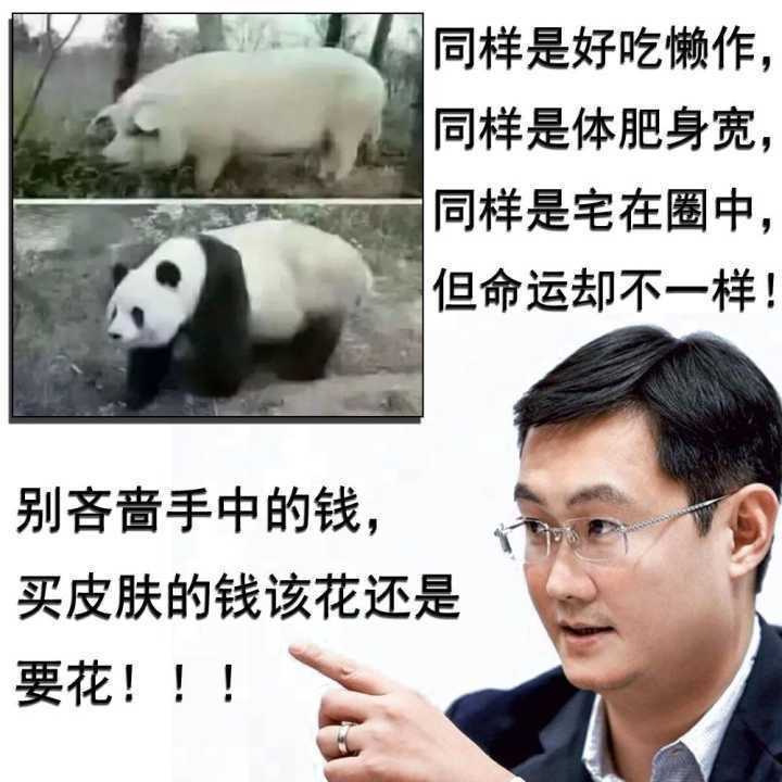 如何评价大熊猫的颜值?