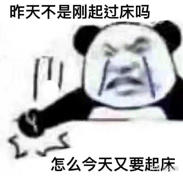 关于网课你有哪些沙雕头像安利?