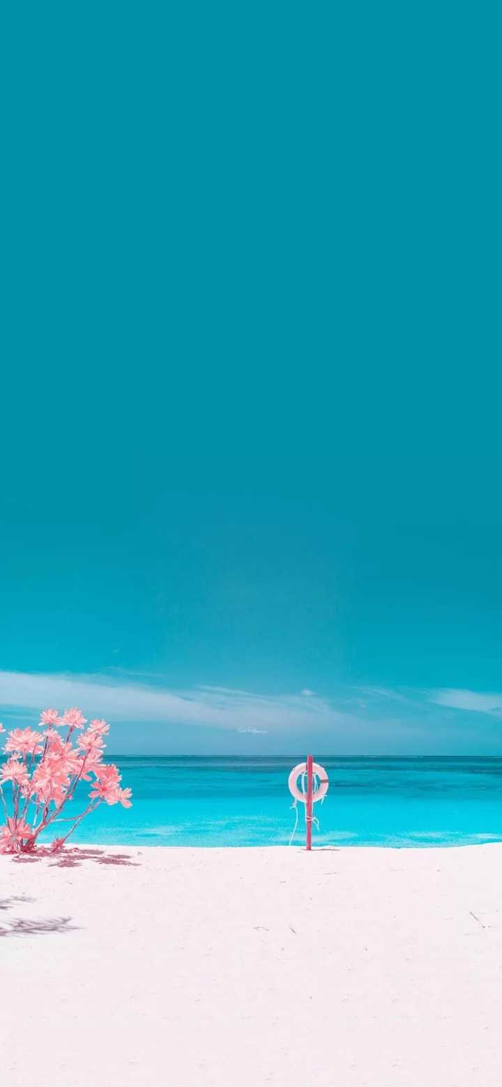 可以分享给我一张你最喜欢的适合夏天的壁纸吗?