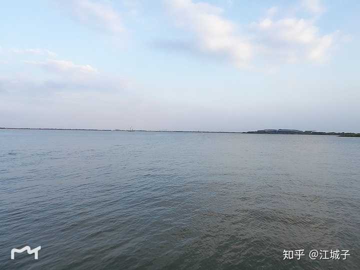 知乎
